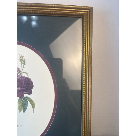 Botanical Framed Picture Classic Decor 13x15 Antique Gold Frame - Picture 3 of 9